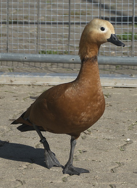展望未来